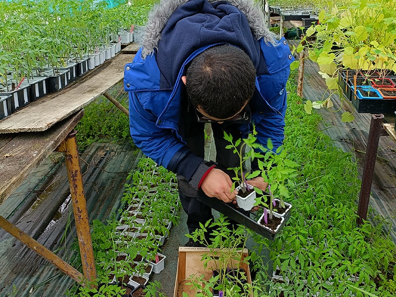 IME don bosco plantation