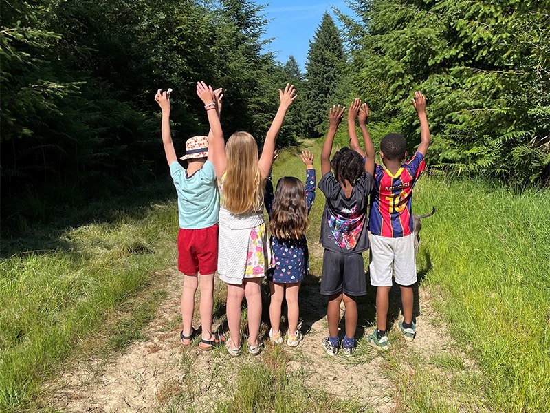 MECS 87 jeunes en foret