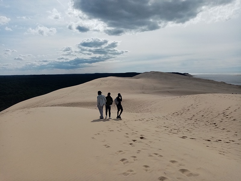 MNA 33 dune du pilat