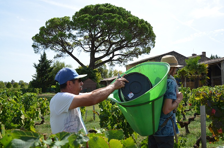 esat magdeleine de vimont 2