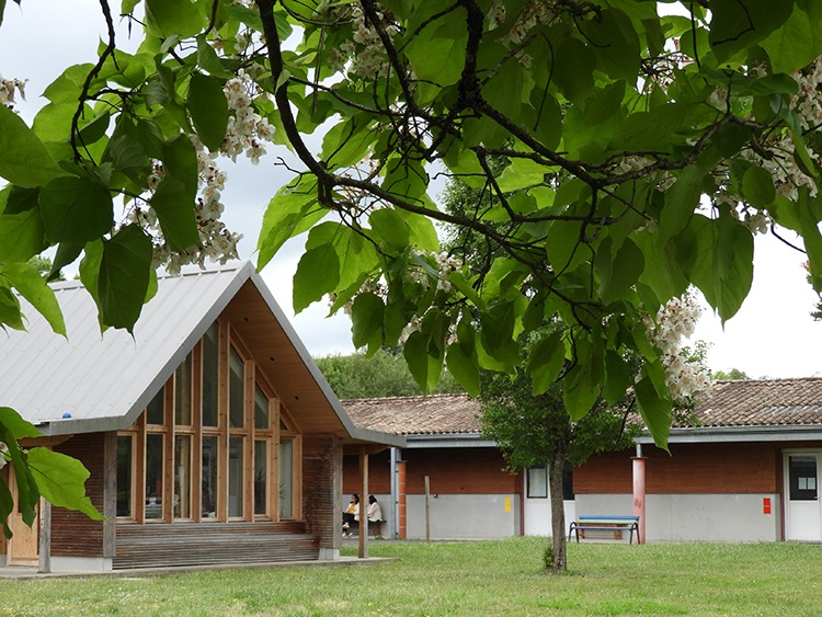 ecole specialise saint francois xavier