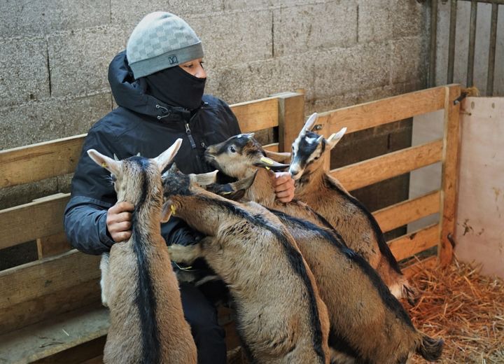 justice penal mineurs